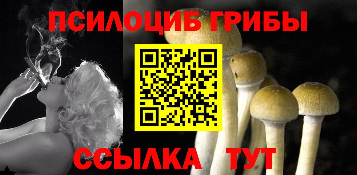 Галлюциногенные грибы ЛСД Архангельск
