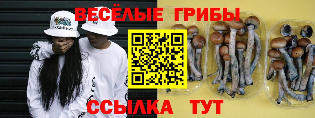 Архангельск  Галлюциногенные грибы Magic Shrooms  наркота  Вход с VPN 